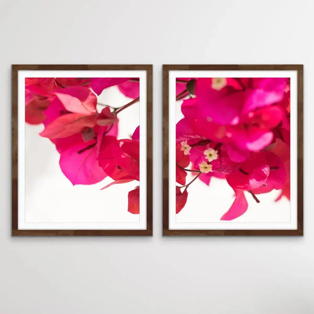 Bougainvillea - Two Piece Print Bougainvillea Print Show As Canvas or Art Prints - I Heart Wall Art - Poster Print, Canvas Print or Framed Art Print