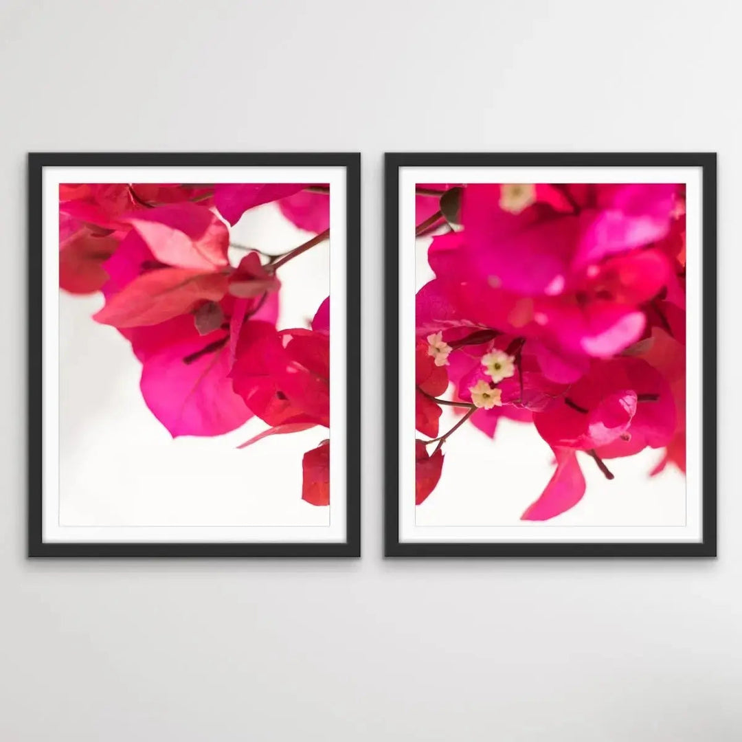 Bougainvillea - Two Piece Print Bougainvillea Print Show As Canvas or Art Prints - I Heart Wall Art - Poster Print, Canvas Print or Framed Art Print