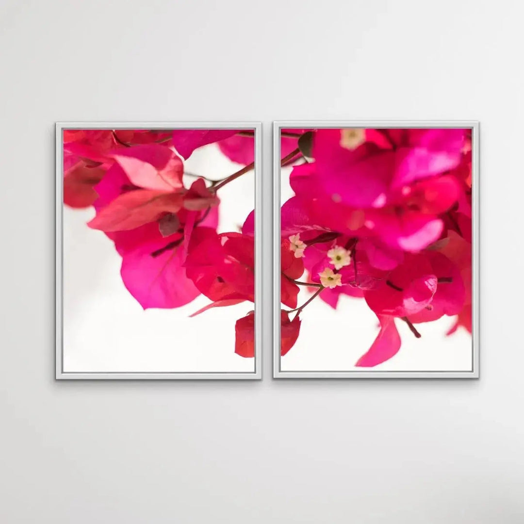 Bougainvillea - Two Piece Print Bougainvillea Print Show As Canvas or Art Prints - I Heart Wall Art - Poster Print, Canvas Print or Framed Art Print