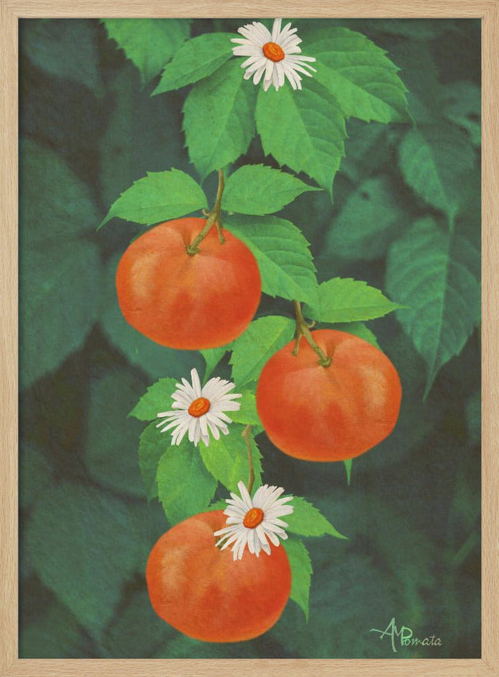 Branch of Mandarin Orange - Stretched Canvas, Poster or Fine Art Print I Heart Wall Art