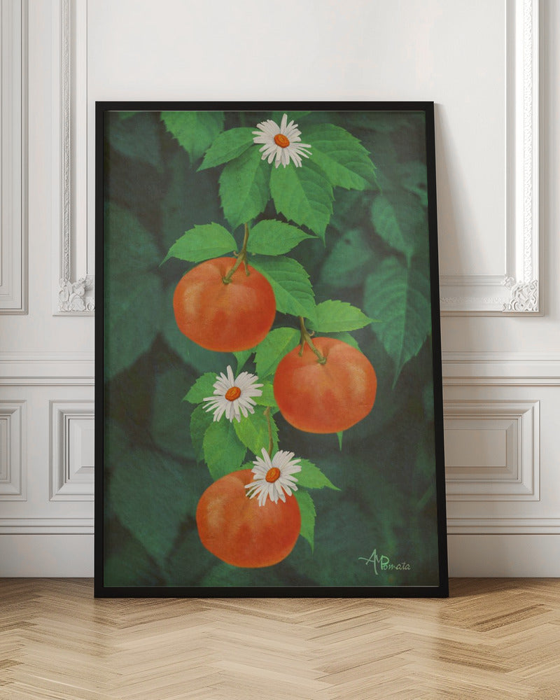 Branch of Mandarin Orange - Stretched Canvas, Poster or Fine Art Print I Heart Wall Art