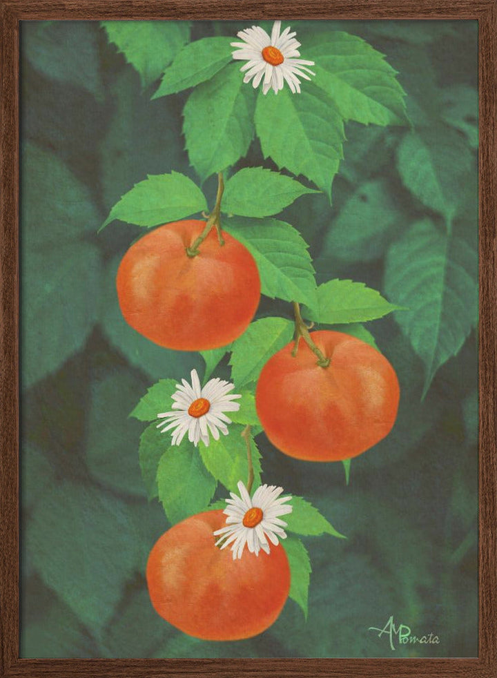 Branch of Mandarin Orange - Stretched Canvas, Poster or Fine Art Print I Heart Wall Art
