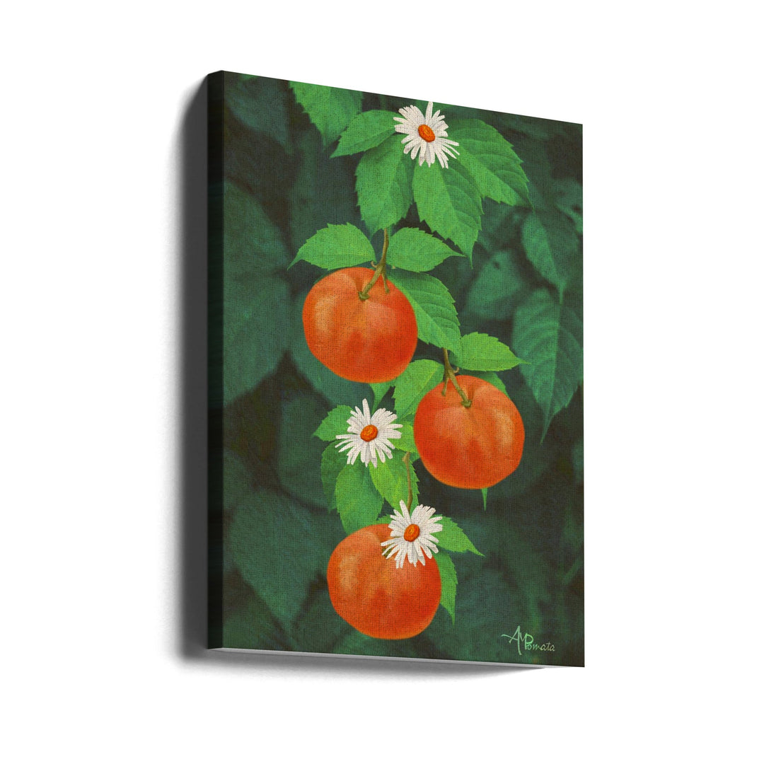 Branch of Mandarin Orange - Stretched Canvas, Poster or Fine Art Print I Heart Wall Art