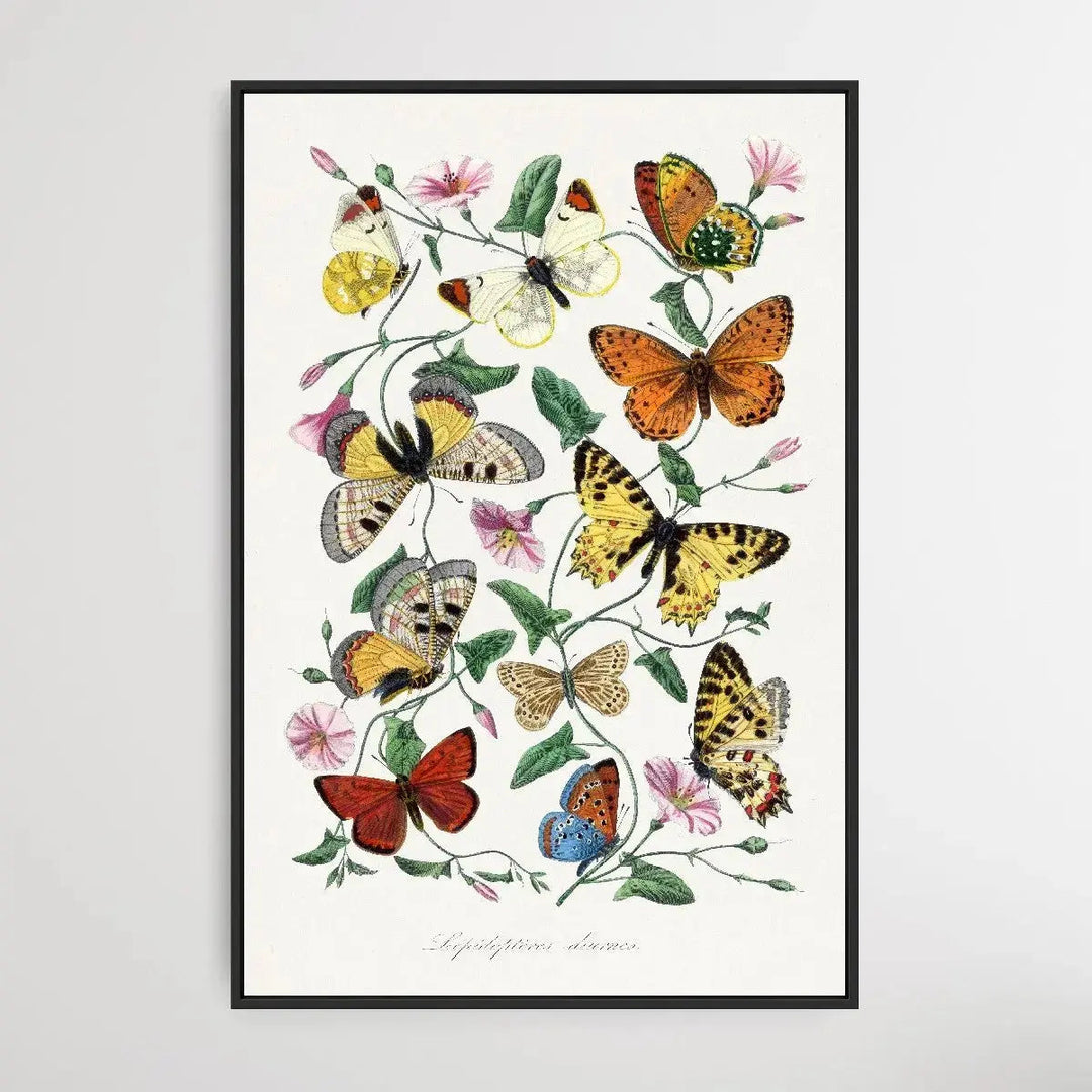 Butterfly &amp; Moth 1842 by Paul Gervais - I Heart Wall Art - Poster Print, Canvas Print or Framed Art Print