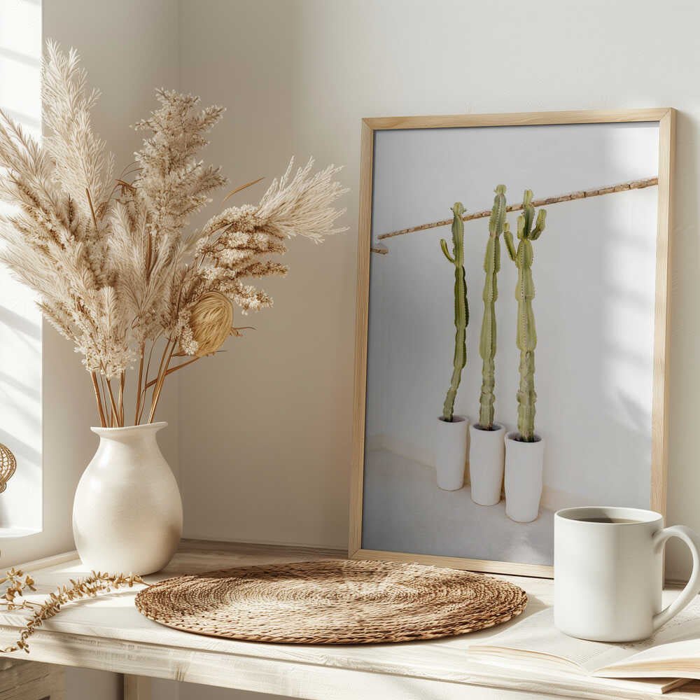Cacti On White - Stretched Canvas, Poster or Fine Art Print - I Heart Wall Art - Poster Print, Canvas Print or Framed Art Print