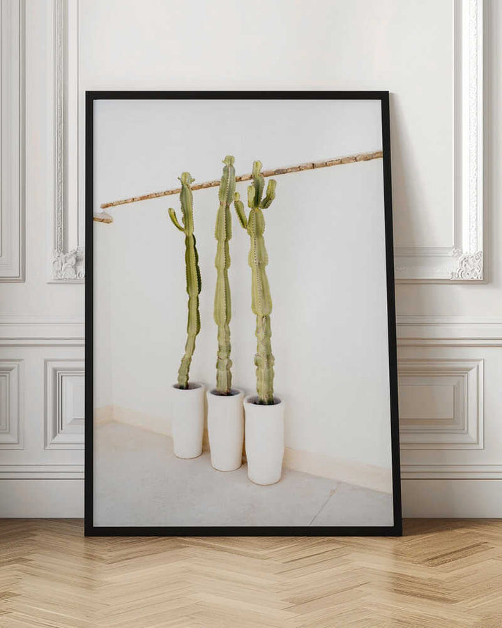 Cacti On White - Stretched Canvas, Poster or Fine Art Print - I Heart Wall Art - Poster Print, Canvas Print or Framed Art Print