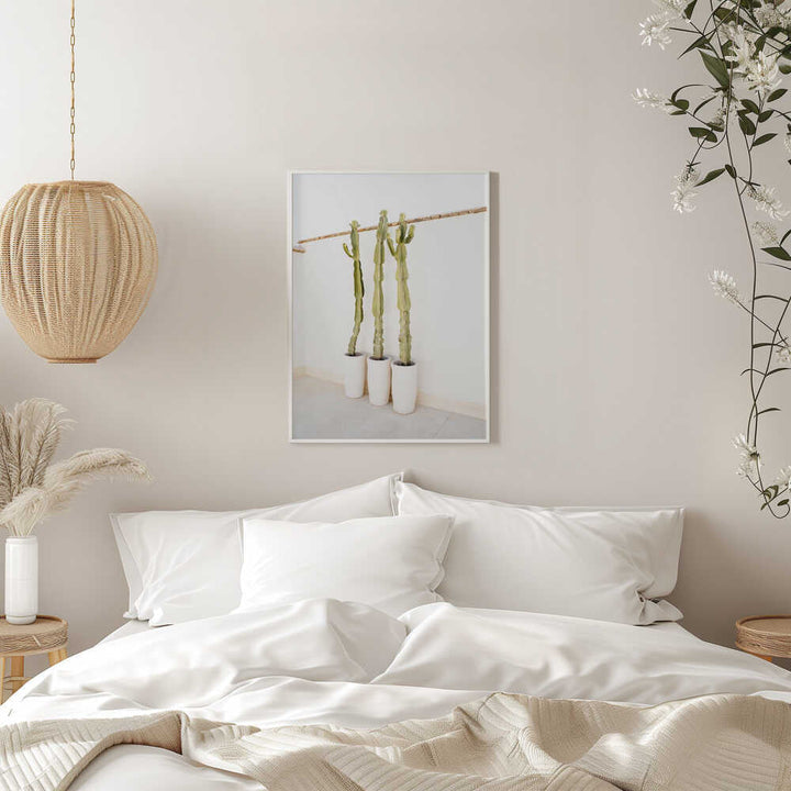 Cacti On White - Stretched Canvas, Poster or Fine Art Print - I Heart Wall Art - Poster Print, Canvas Print or Framed Art Print