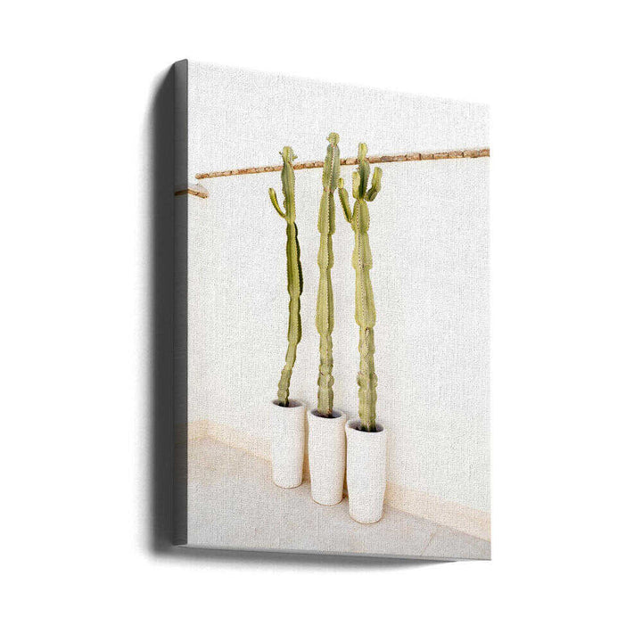 Cacti On White - Stretched Canvas, Poster or Fine Art Print - I Heart Wall Art - Poster Print, Canvas Print or Framed Art Print