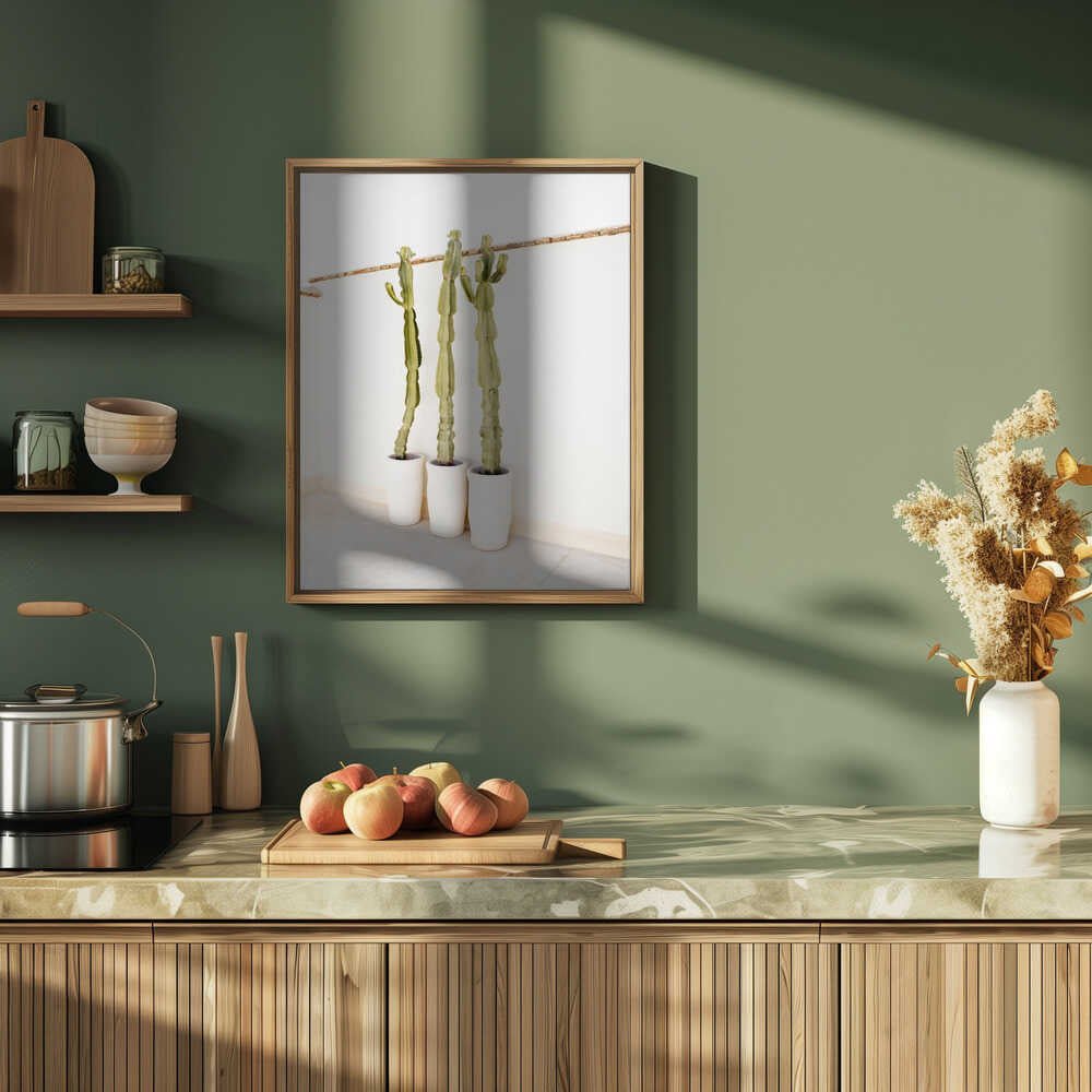Cacti On White - Stretched Canvas, Poster or Fine Art Print - I Heart Wall Art - Poster Print, Canvas Print or Framed Art Print