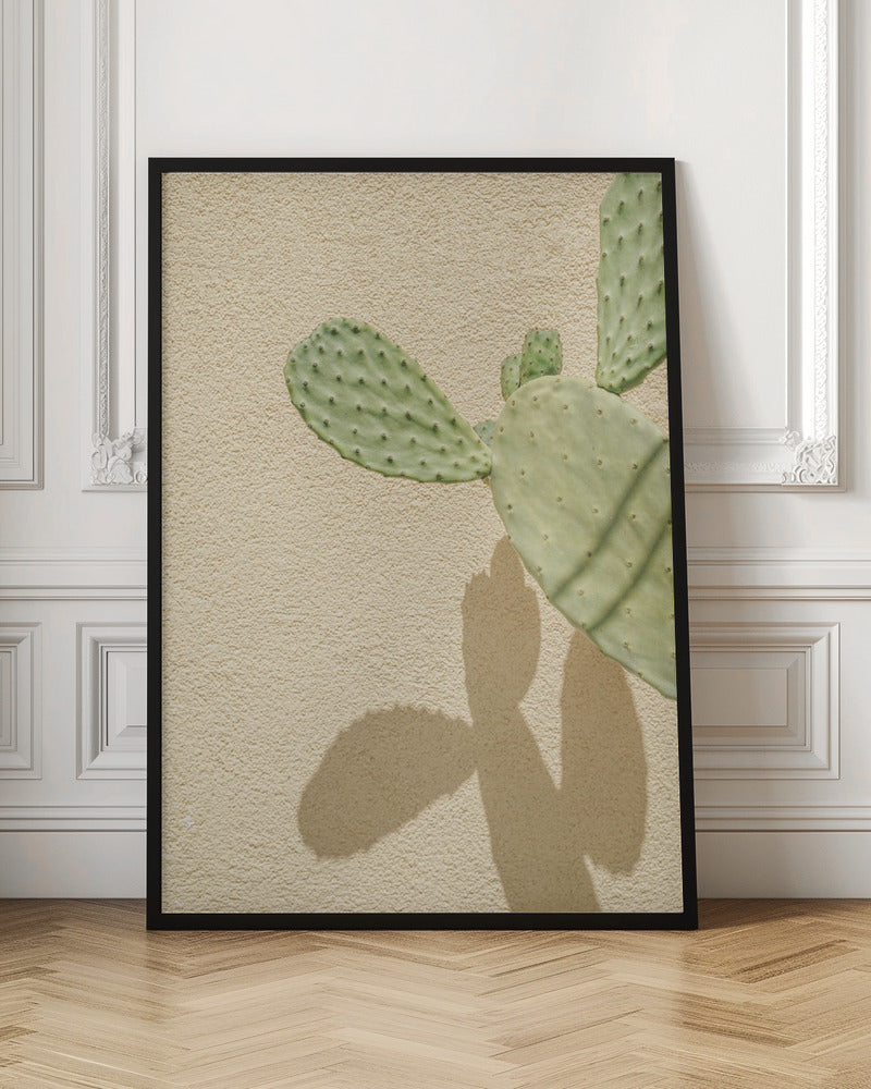 Cacti Shadowplay - Stretched Canvas, Poster or Fine Art Print I Heart Wall Art