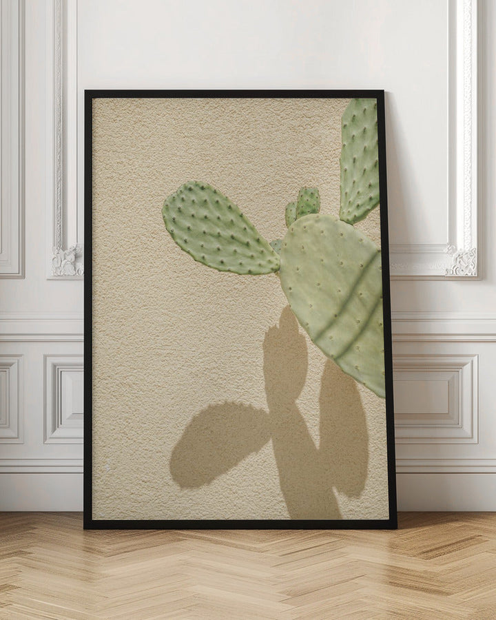Cacti Shadowplay - Stretched Canvas, Poster or Fine Art Print I Heart Wall Art