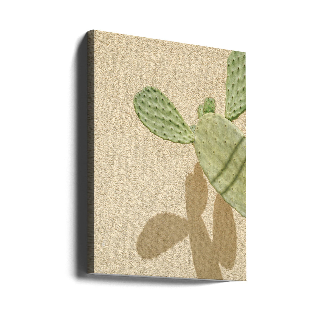 Cacti Shadowplay - Stretched Canvas, Poster or Fine Art Print I Heart Wall Art