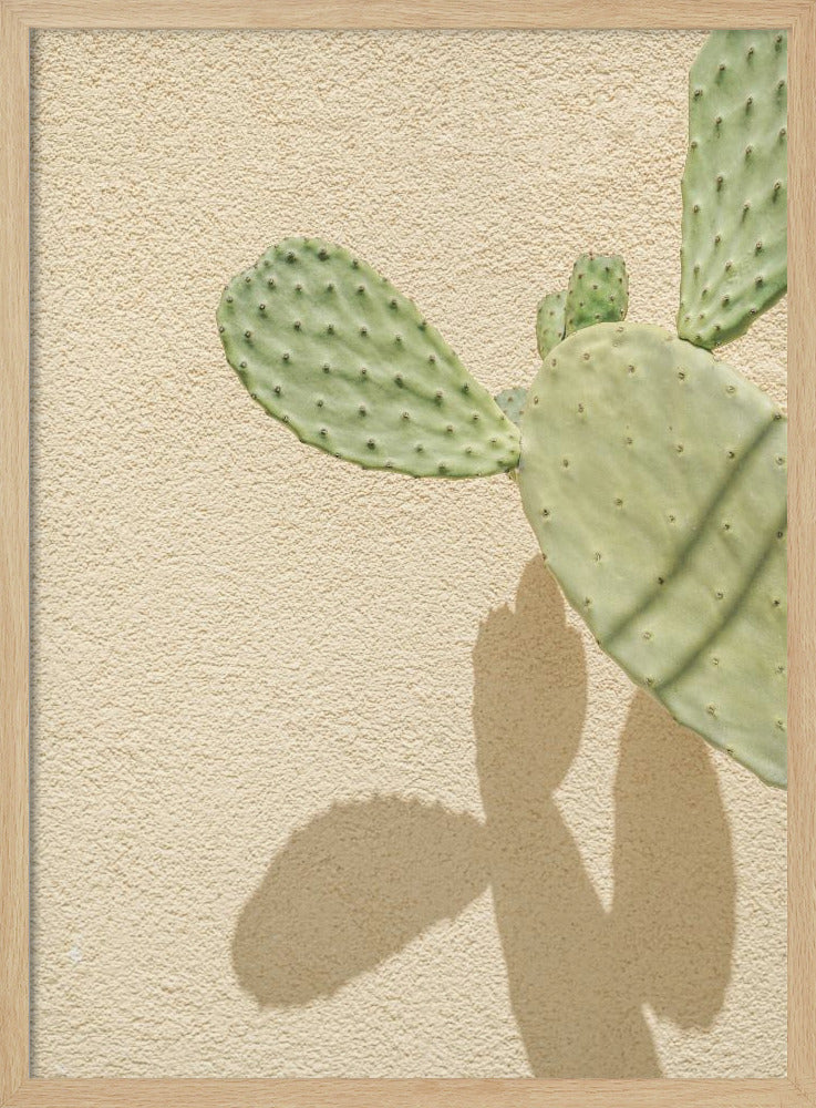 Cacti Shadowplay - Stretched Canvas, Poster or Fine Art Print I Heart Wall Art