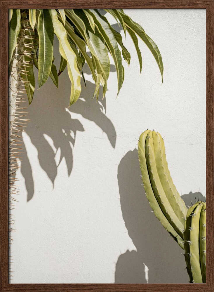 Cacti - Stretched Canvas, Poster or Fine Art Print - I Heart Wall Art - Poster Print, Canvas Print or Framed Art Print
