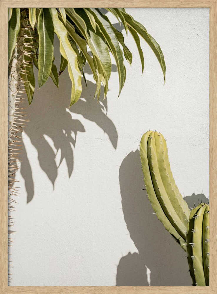 Cacti - Stretched Canvas, Poster or Fine Art Print - I Heart Wall Art - Poster Print, Canvas Print or Framed Art Print