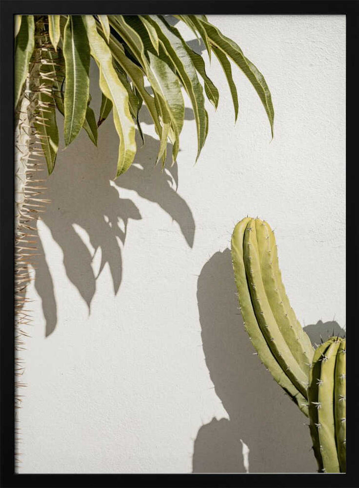 Cacti - Stretched Canvas, Poster or Fine Art Print - I Heart Wall Art - Poster Print, Canvas Print or Framed Art Print