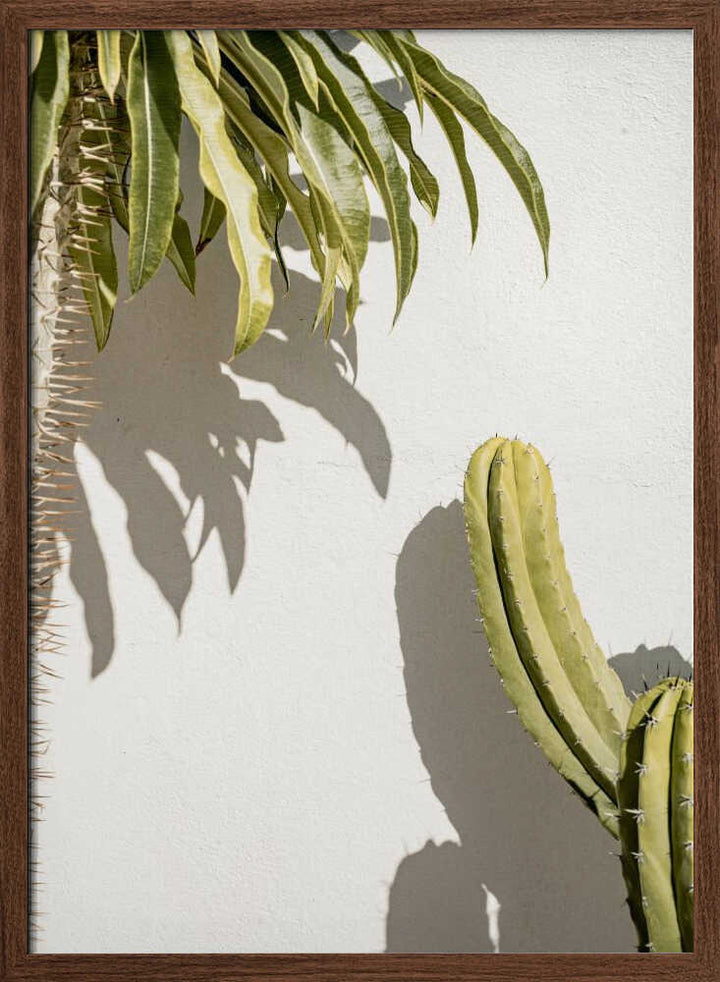 Cacti - Stretched Canvas, Poster or Fine Art Print - I Heart Wall Art - Poster Print, Canvas Print or Framed Art Print