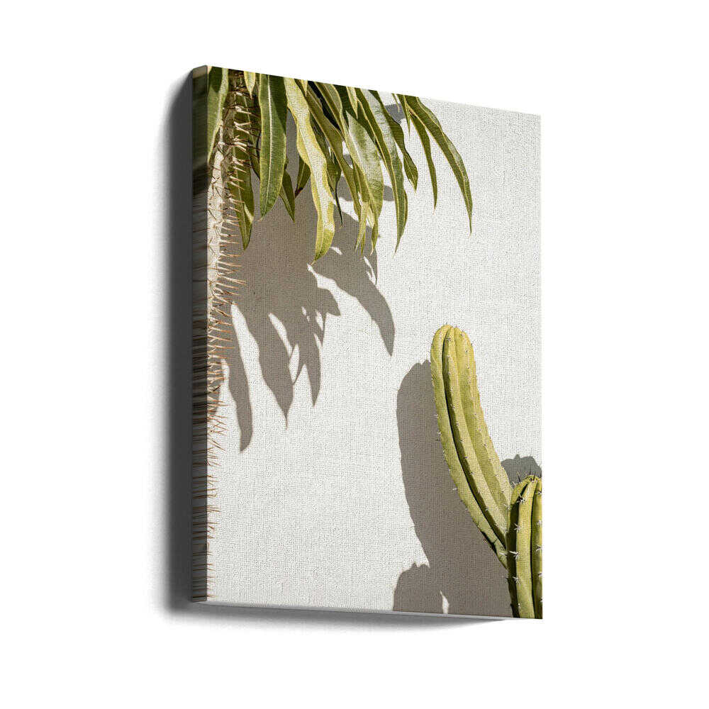 Cacti - Stretched Canvas, Poster or Fine Art Print - I Heart Wall Art - Poster Print, Canvas Print or Framed Art Print