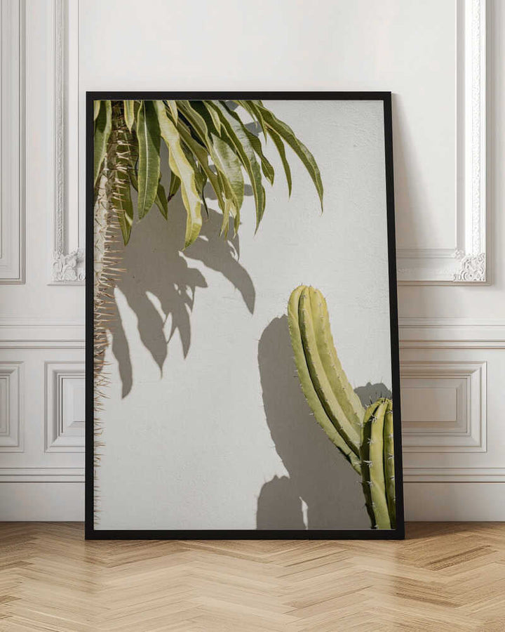 Cacti - Stretched Canvas, Poster or Fine Art Print - I Heart Wall Art - Poster Print, Canvas Print or Framed Art Print