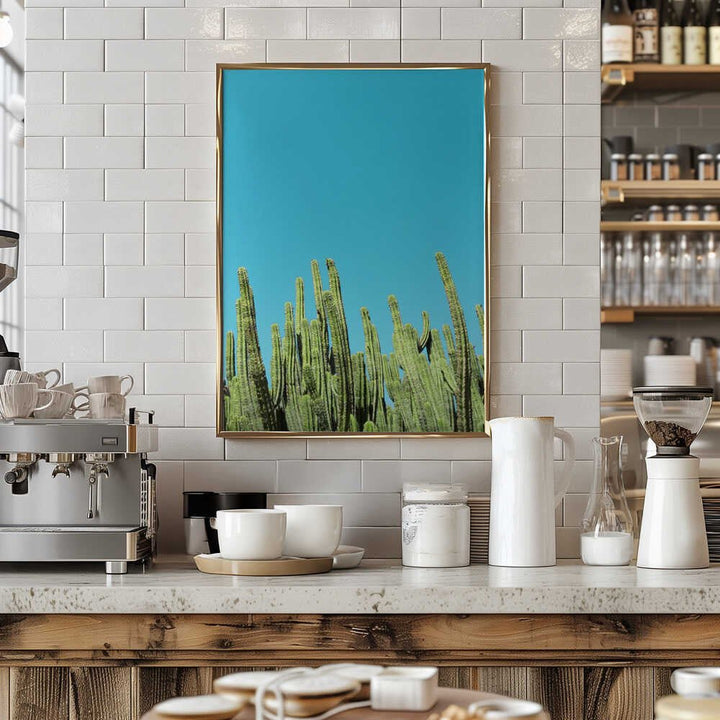 Cactus Reaching for the Sky - Stretched Canvas, Poster or Fine Art Print - I Heart Wall Art - Poster Print, Canvas Print or Framed Art Print