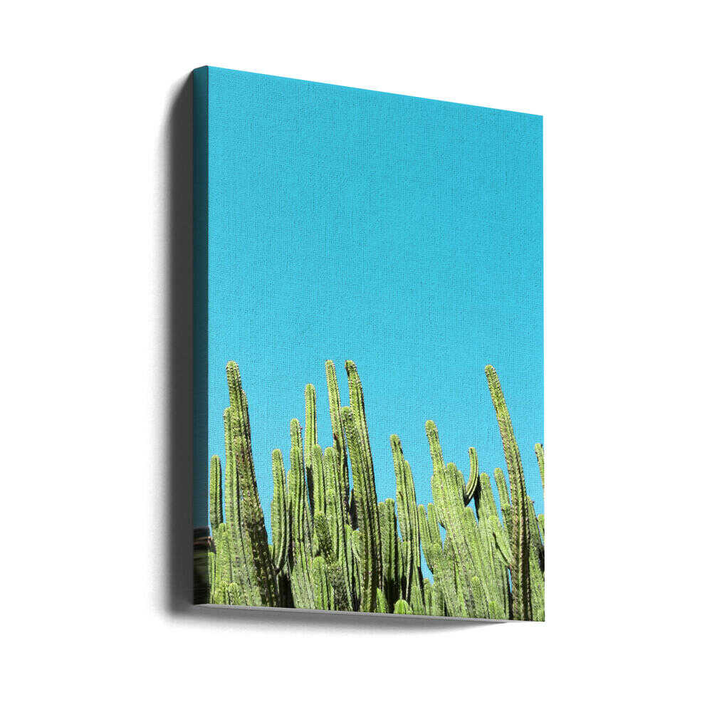 Cactus Reaching for the Sky - Stretched Canvas, Poster or Fine Art Print - I Heart Wall Art - Poster Print, Canvas Print or Framed Art Print