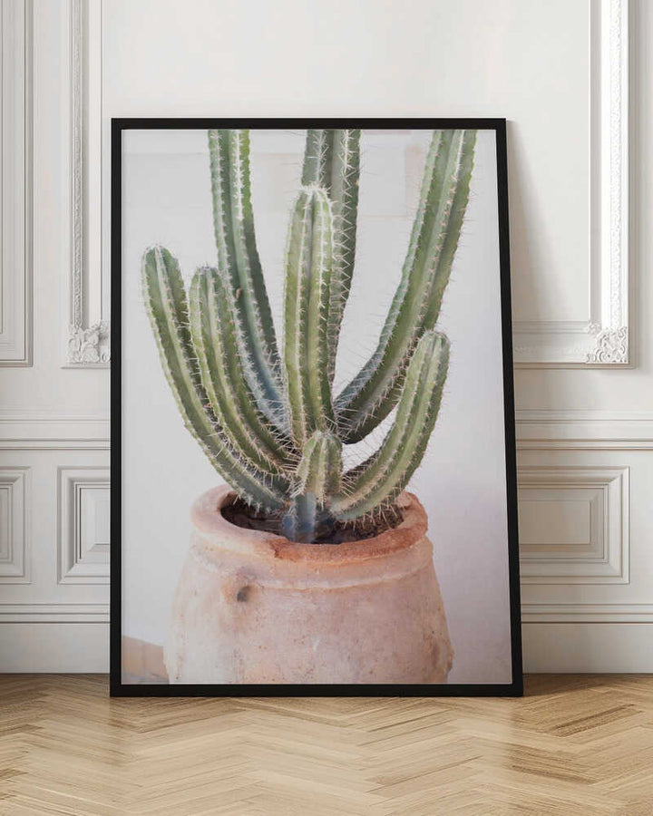 Cactus Serenity - Stretched Canvas, Poster or Fine Art Print - I Heart Wall Art - Poster Print, Canvas Print or Framed Art Print