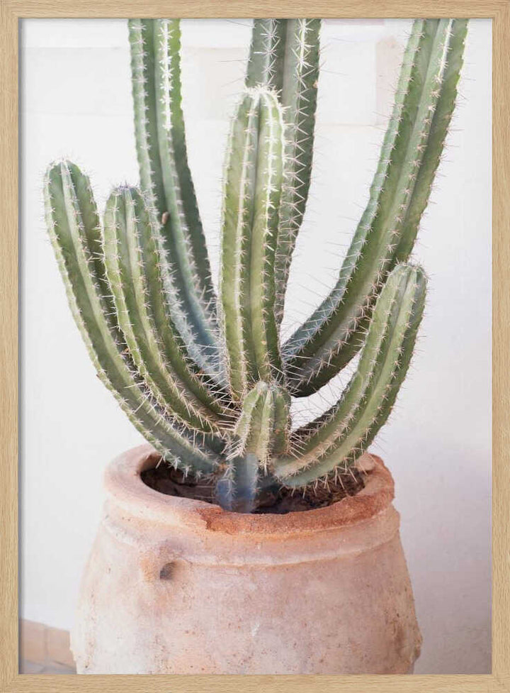 Cactus Serenity - Stretched Canvas, Poster or Fine Art Print - I Heart Wall Art - Poster Print, Canvas Print or Framed Art Print