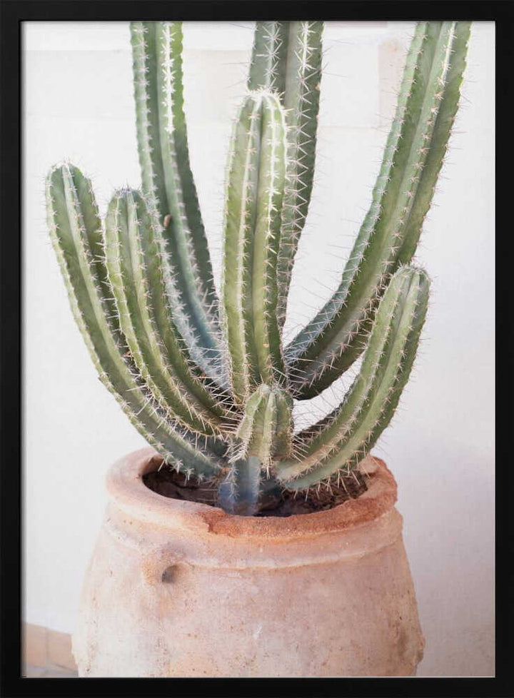 Cactus Serenity - Stretched Canvas, Poster or Fine Art Print - I Heart Wall Art - Poster Print, Canvas Print or Framed Art Print