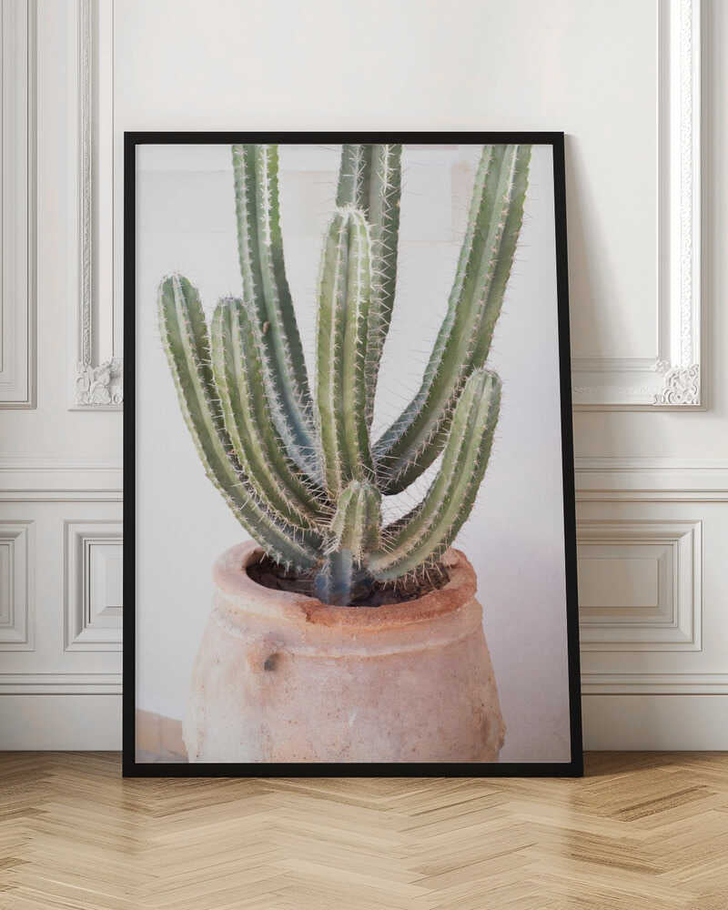 Cactus Serenity - Stretched Canvas, Poster or Fine Art Print - I Heart Wall Art - Poster Print, Canvas Print or Framed Art Print