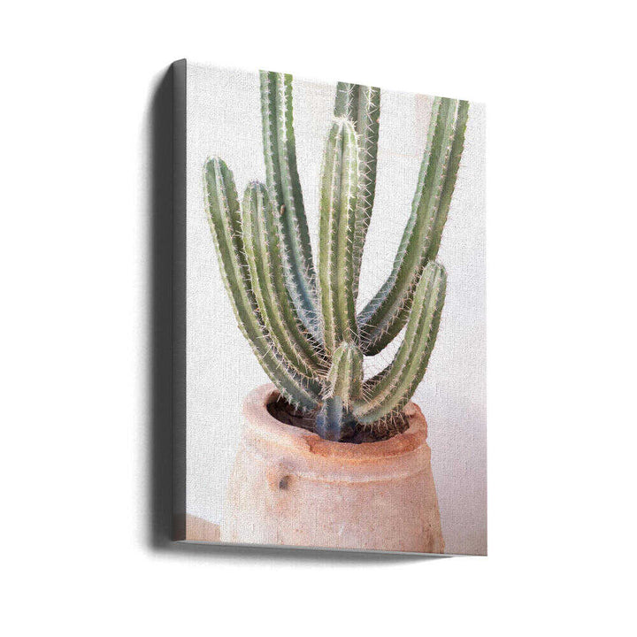 Cactus Serenity - Stretched Canvas, Poster or Fine Art Print - I Heart Wall Art - Poster Print, Canvas Print or Framed Art Print