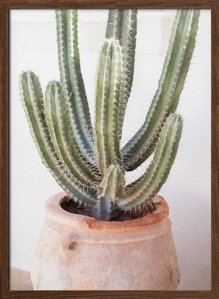 Cactus Serenity - Stretched Canvas, Poster or Fine Art Print - I Heart Wall Art - Poster Print, Canvas Print or Framed Art Print