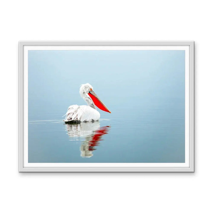 Calm Mornings - Pelican Ocean Coastal Hamptons Photographic Artwork I Heart Wall Art Australia 