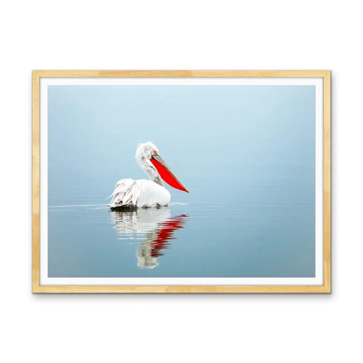 Calm Mornings - Pelican Ocean Coastal Hamptons Photographic Artwork I Heart Wall Art Australia 
