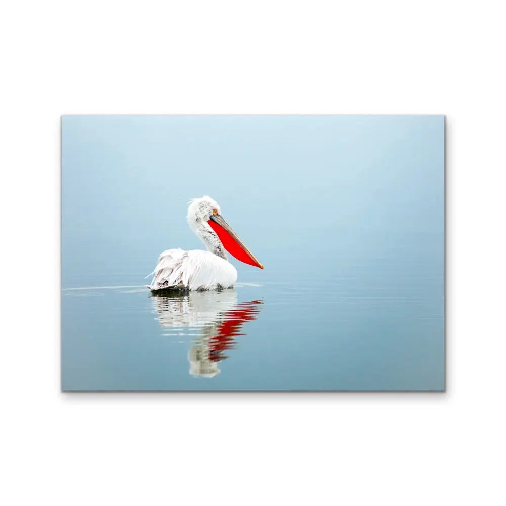 Calm Mornings - Pelican Ocean Coastal Hamptons Photographic Artwork I Heart Wall Art Australia 