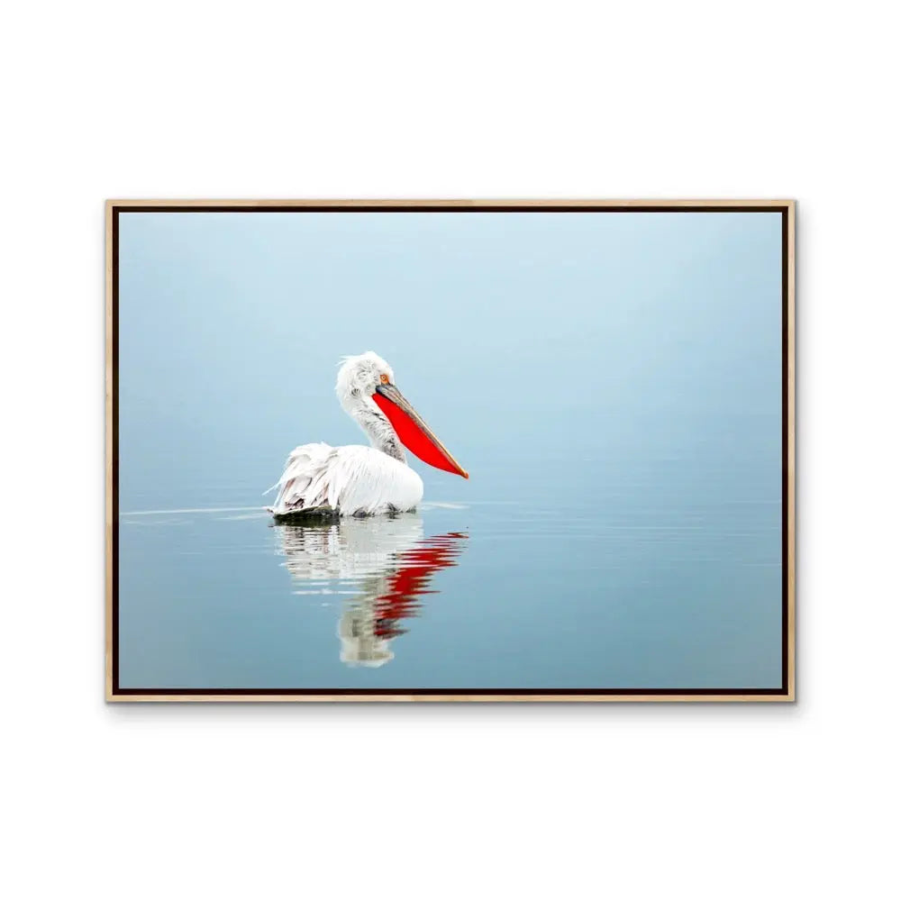 Calm Mornings - Pelican Ocean Coastal Hamptons Photographic Artwork I Heart Wall Art Australia 