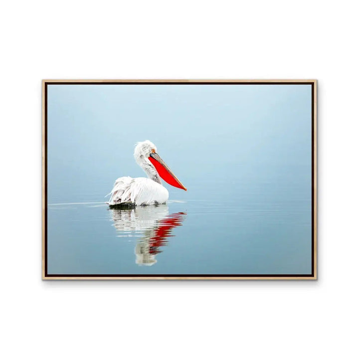 Calm Mornings - Pelican Ocean Coastal Hamptons Photographic Artwork I Heart Wall Art Australia 
