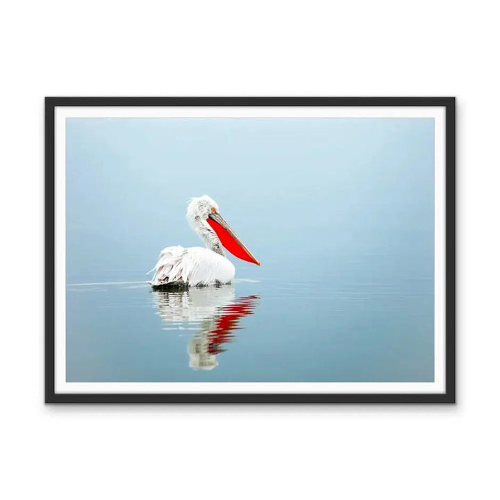 Calm Mornings - Pelican Ocean Coastal Hamptons Photographic Artwork I Heart Wall Art Australia 