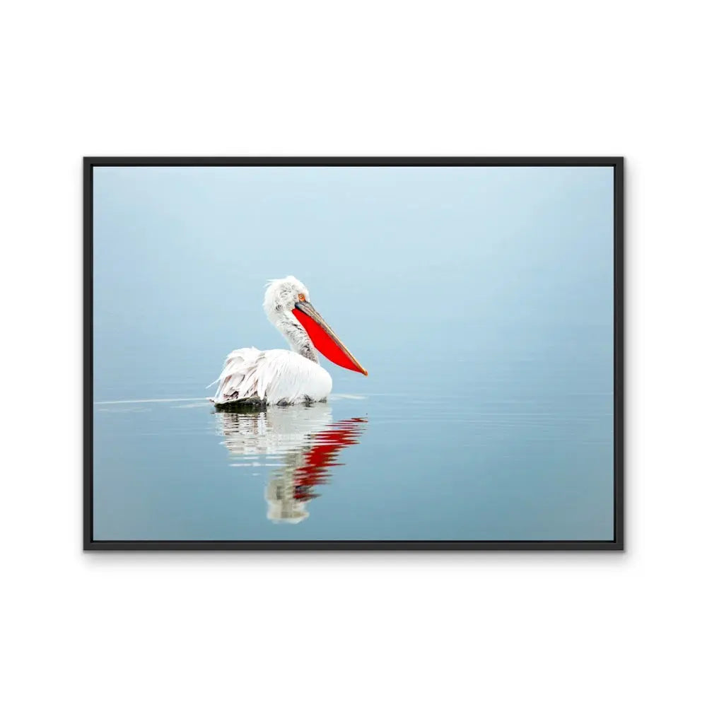 Calm Mornings - Pelican Ocean Coastal Hamptons Photographic Artwork I Heart Wall Art Australia 
