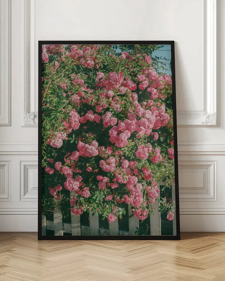 Cannon Beach Blooms - Stretched Canvas, Poster or Fine Art Print I Heart Wall Art