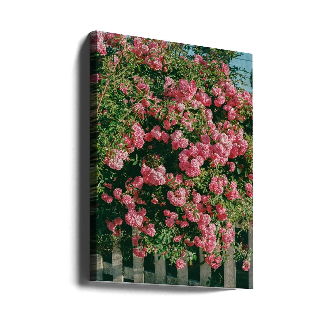 Cannon Beach Blooms - Stretched Canvas, Poster or Fine Art Print I Heart Wall Art
