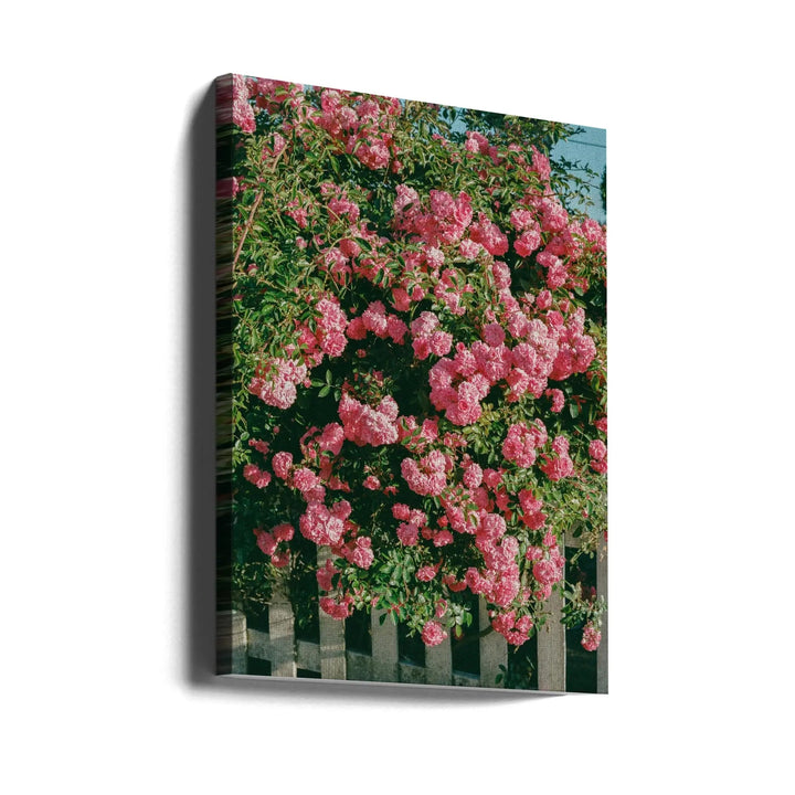 Cannon Beach Blooms - Stretched Canvas, Poster or Fine Art Print I Heart Wall Art
