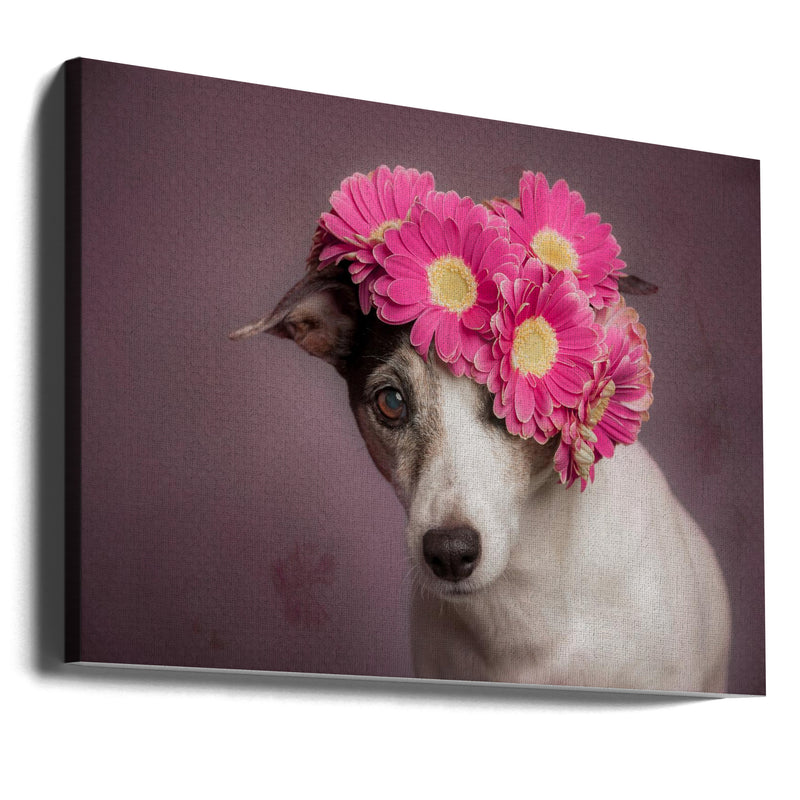 Mrs. Spring - Stretched Canvas, Poster or Fine Art Print I Heart Wall Art