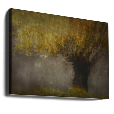 Pollard willow - Stretched Canvas, Poster or Fine Art Print I Heart Wall Art