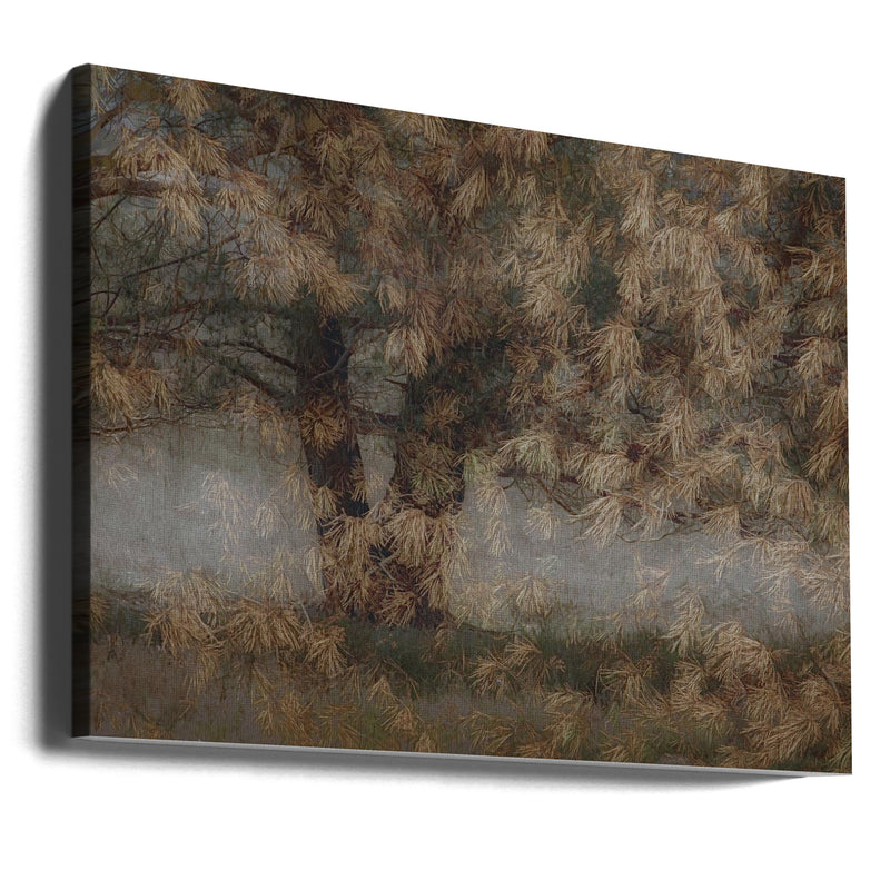 Pine tree - Stretched Canvas, Poster or Fine Art Print I Heart Wall Art