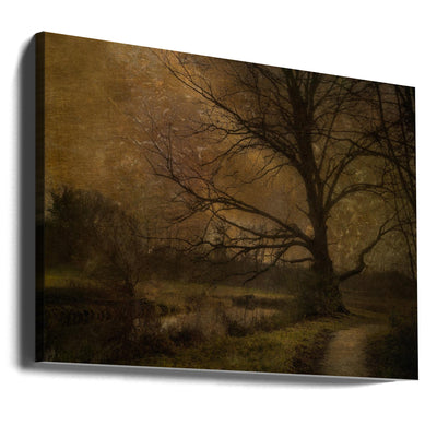 Old tree - Stretched Canvas, Poster or Fine Art Print I Heart Wall Art