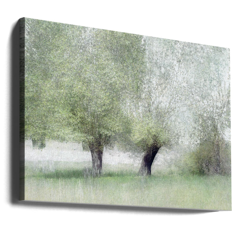 Young green - Stretched Canvas, Poster or Fine Art Print I Heart Wall Art