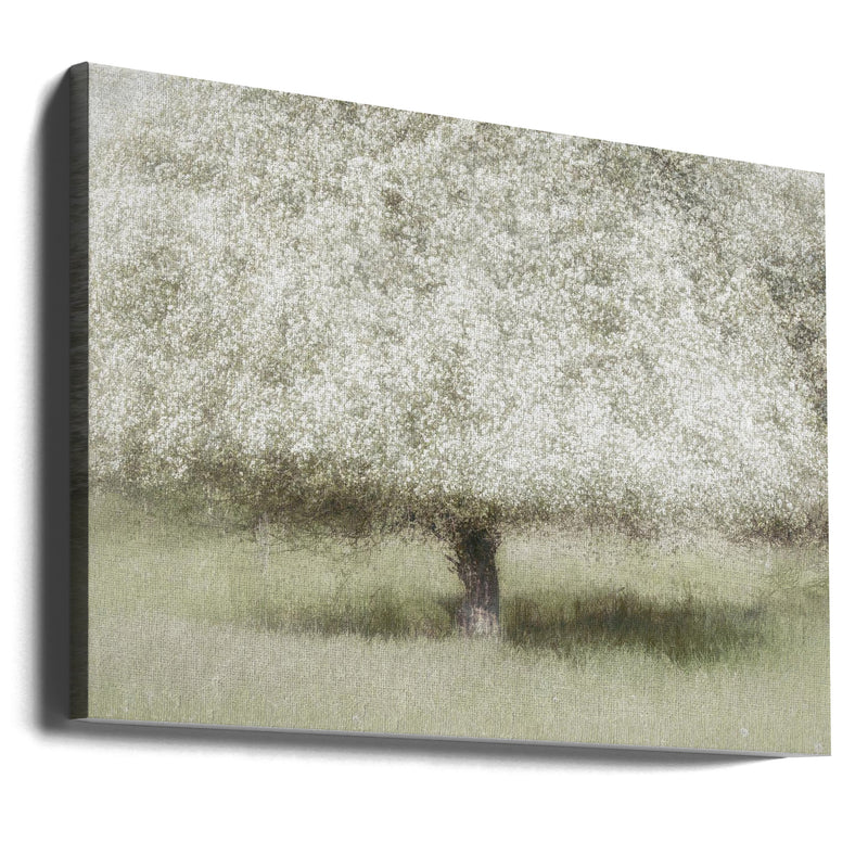 In the backyard - Stretched Canvas, Poster or Fine Art Print I Heart Wall Art