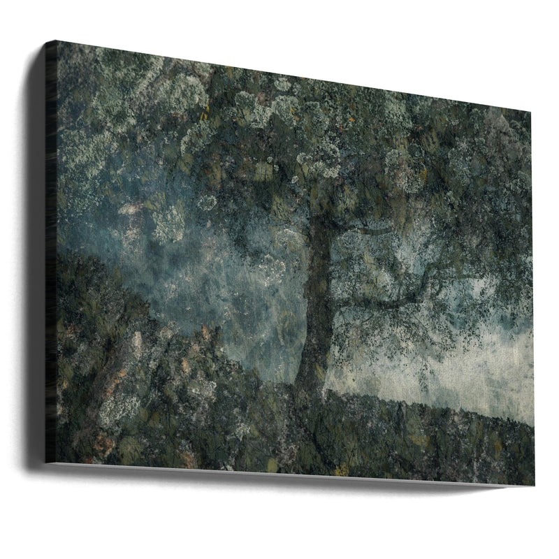 Rocks and a tree - Stretched Canvas, Poster or Fine Art Print I Heart Wall Art