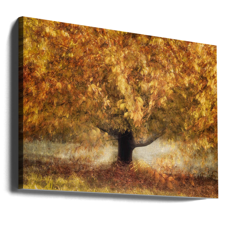 Gold colors - Stretched Canvas, Poster or Fine Art Print I Heart Wall Art