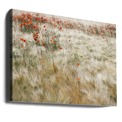 Summerfield - Stretched Canvas, Poster or Fine Art Print I Heart Wall Art